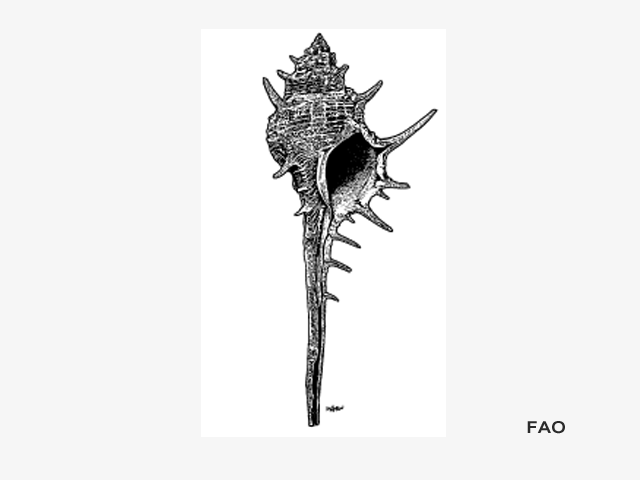 Mutra_u1.gif