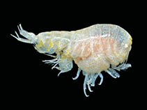 Anlin_u0.jpg