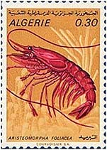 Arfol_u0.jpg